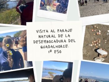 Visita al Paraje Natural de la Desembocadura del Guadalhorce.